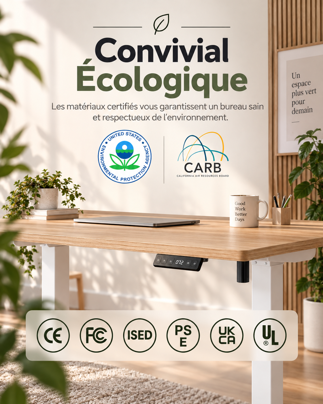 Bureau assis-debout électrique
120 × 60 cm